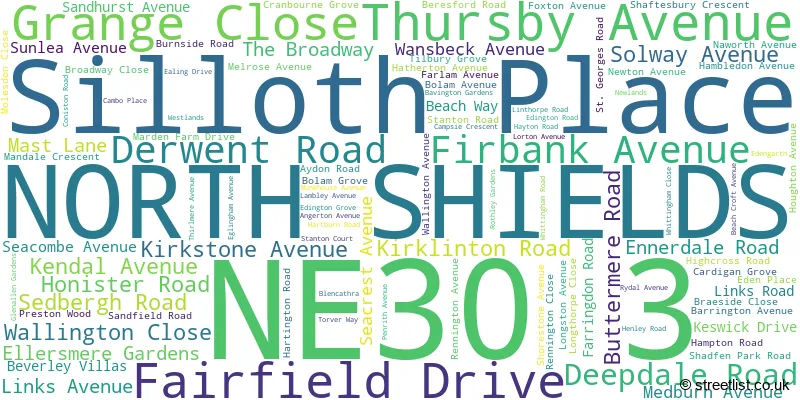 A word cloud for the NE30 3 postcode